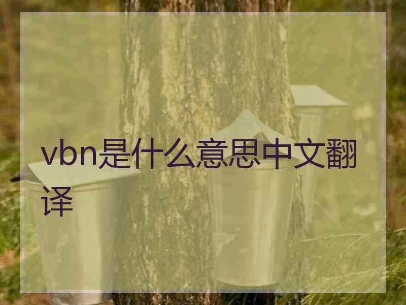 vbn是什么意思中文翻译
