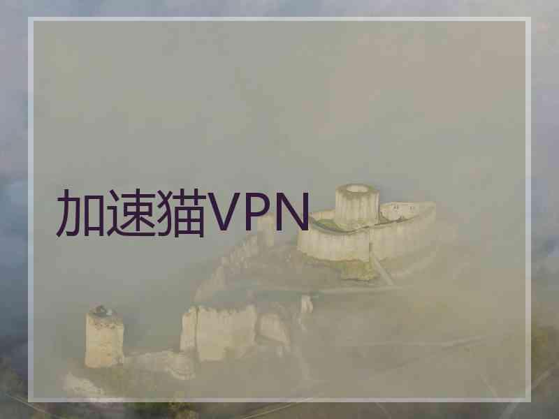 加速猫VPN