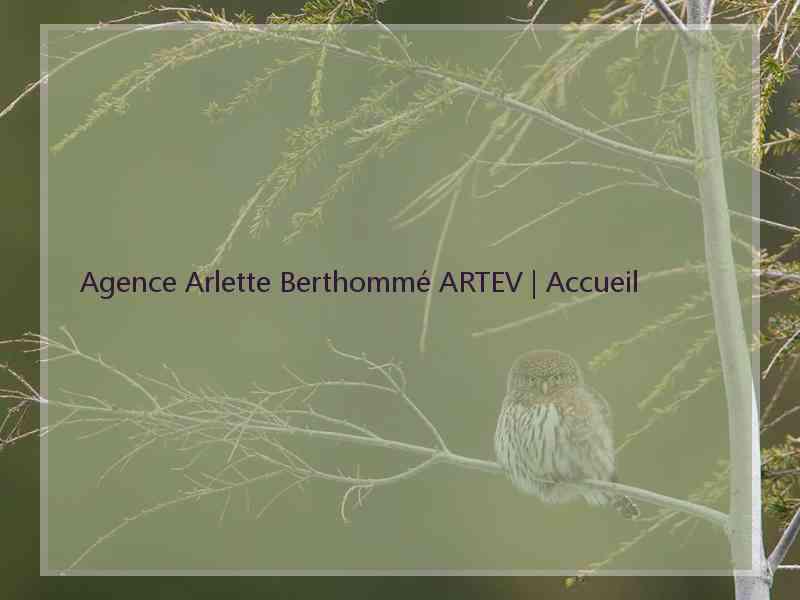Agence Arlette Berthommé ARTEV | Accueil