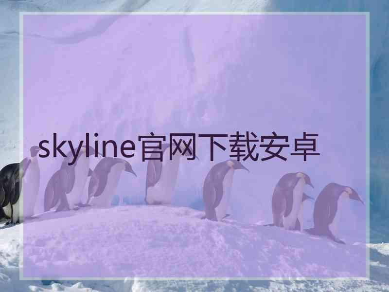 skyline官网下载安卓