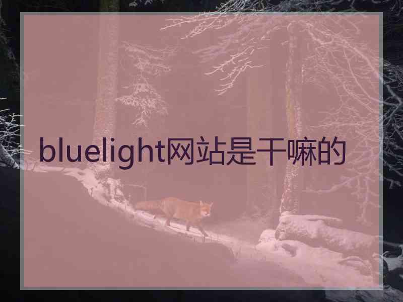 bluelight网站是干嘛的