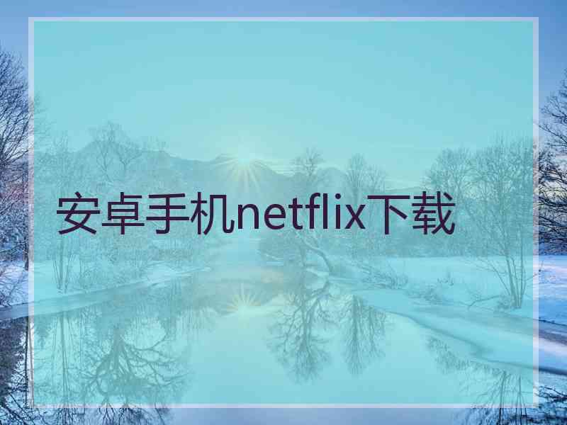 安卓手机netflix下载