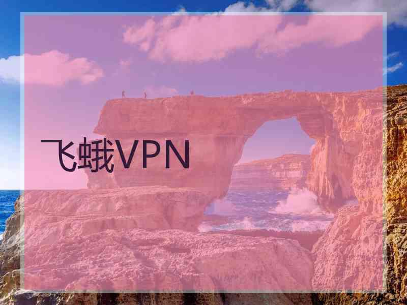 飞蛾VPN