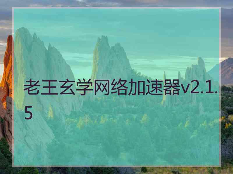 老王玄学网络加速器v2.1.5