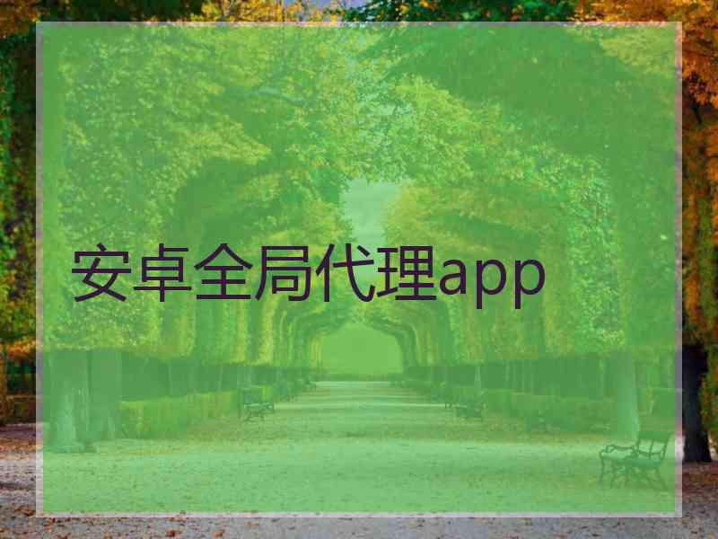 安卓全局代理app 安卓全局代理app