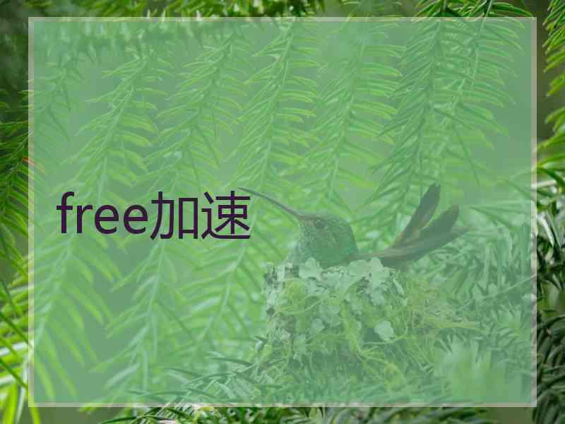free加速