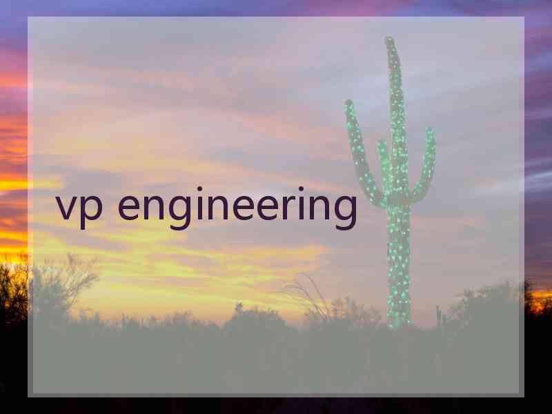 vp engineering