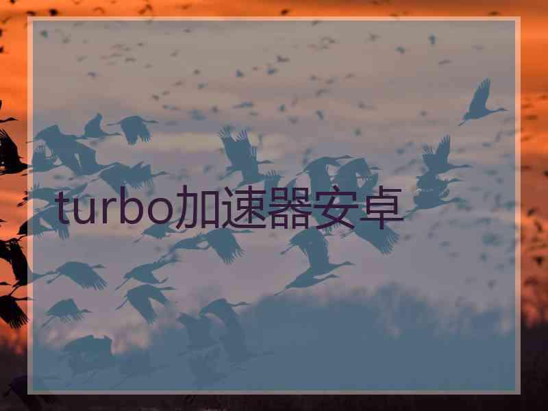 turbo加速器安卓