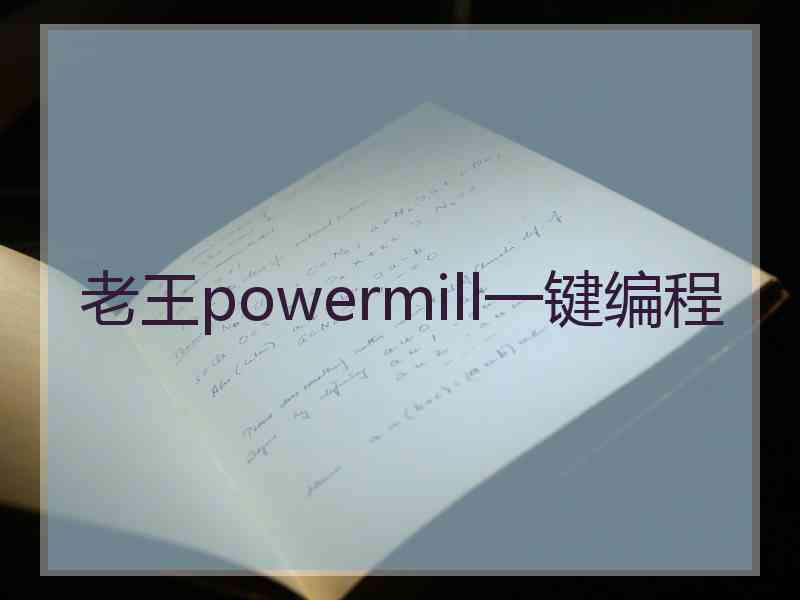 老王powermill一键编程