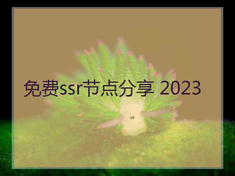 免费ssr节点分享 2023