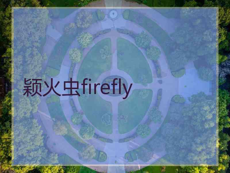颖火虫firefly