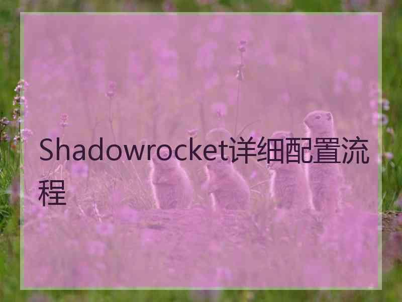 Shadowrocket详细配置流程
