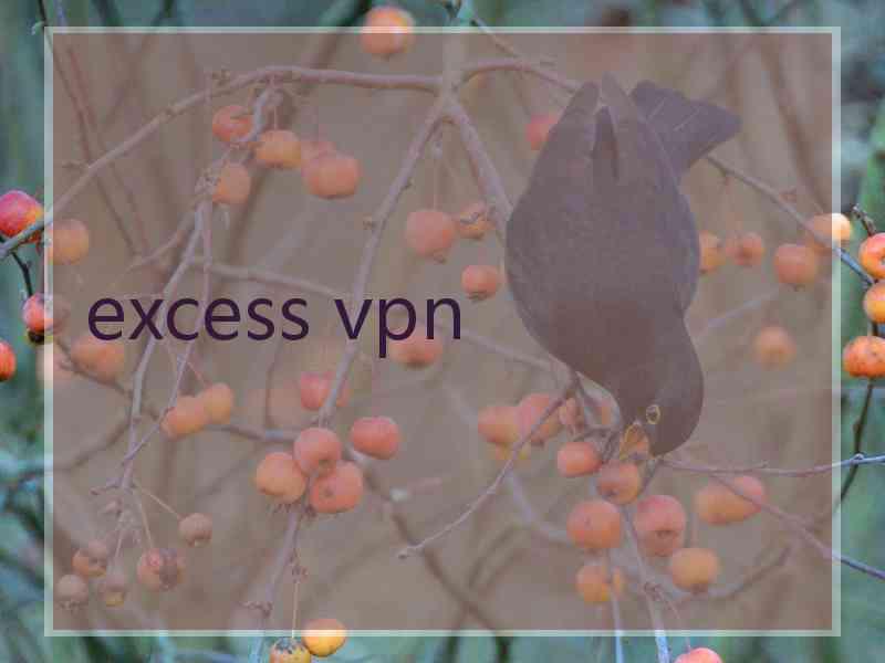 excess vpn