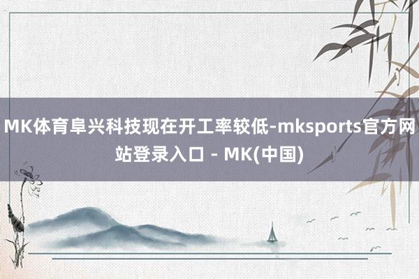 MK体育阜兴科技现在开工率较低-mksports官方网站登录