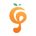 letsvpn ios 安装包下载