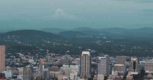 狸猫加速器安卓版下载在哪里