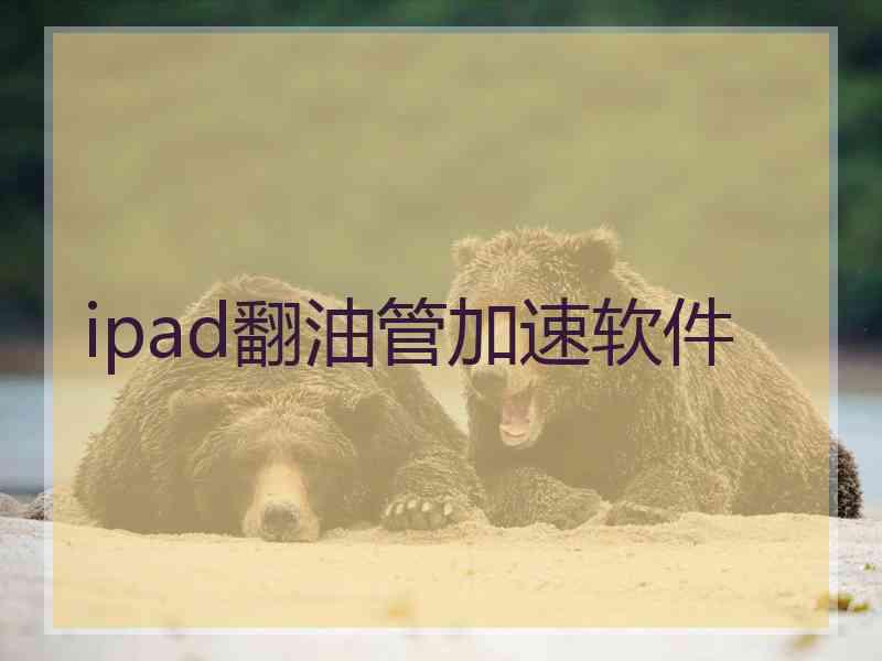 ipad翻油管加速软件