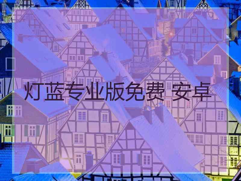 灯蓝专业版免费 安卓