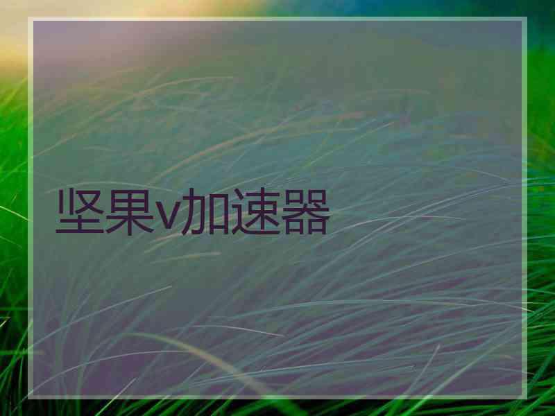 坚果v加速器