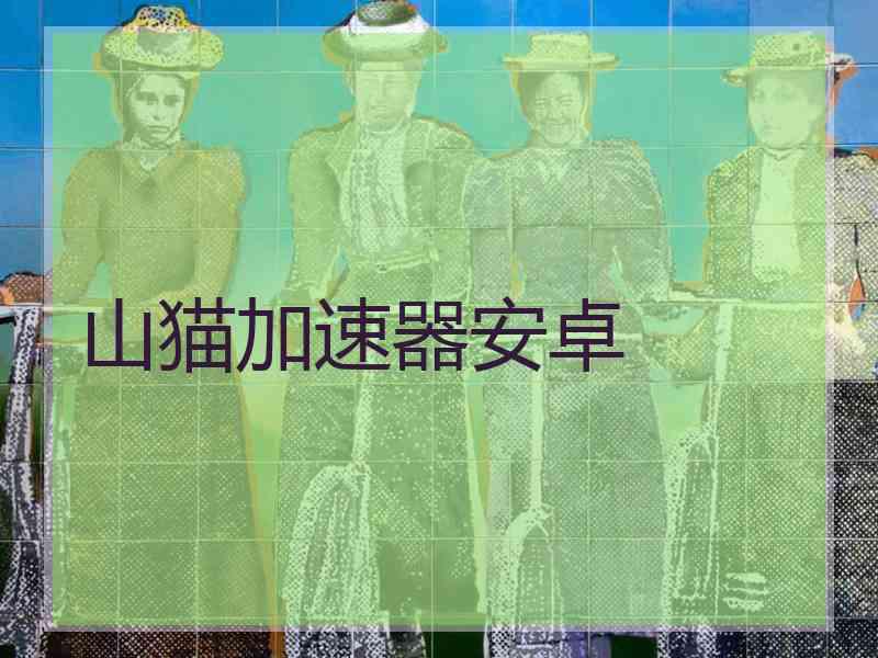 山猫加速器安卓