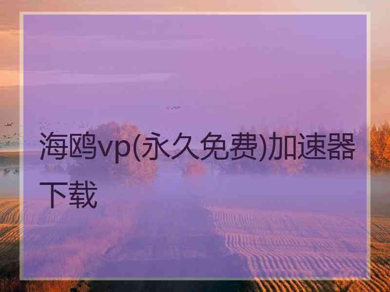 海鸥vp(永久免费)加速器下载
