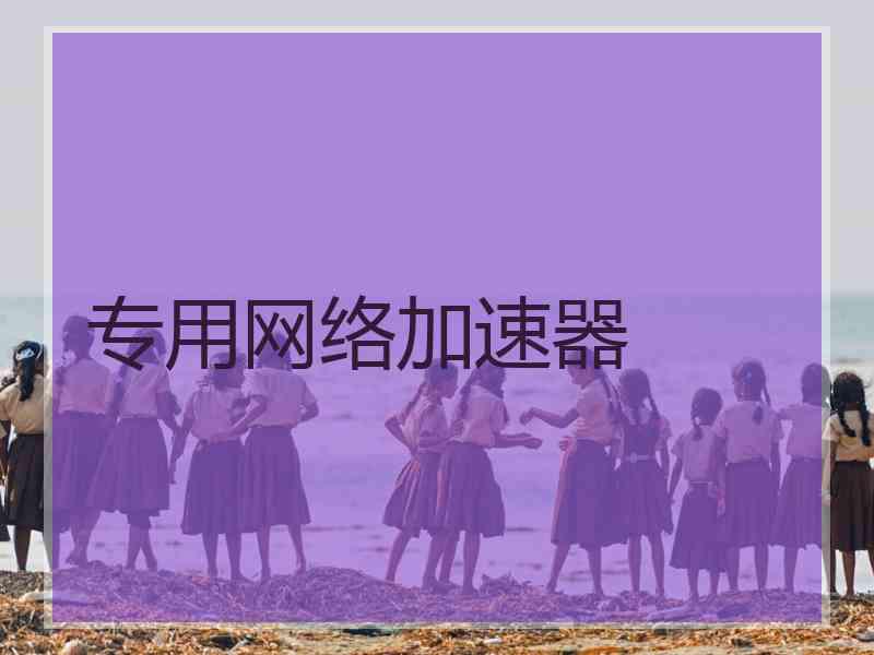 专用网络加速器