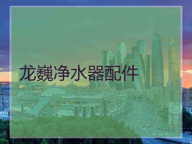 龙巍净水器配件