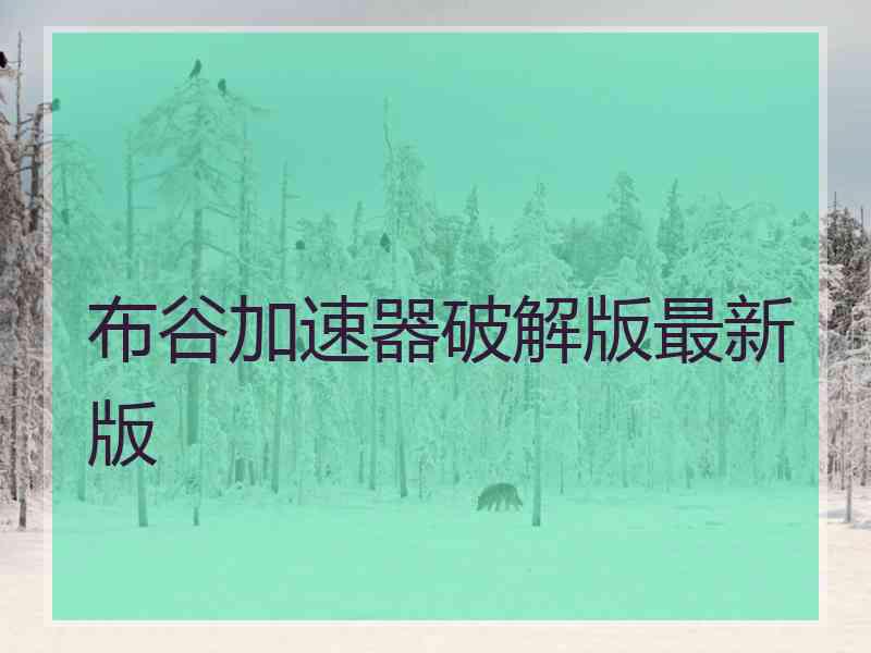 布谷加速器破解版最新版