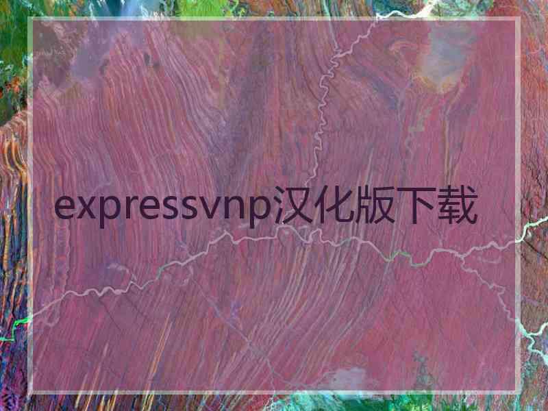 expressvnp汉化版下载
