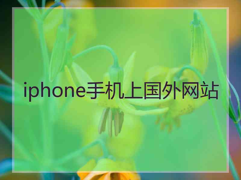 iphone手机上国外网站