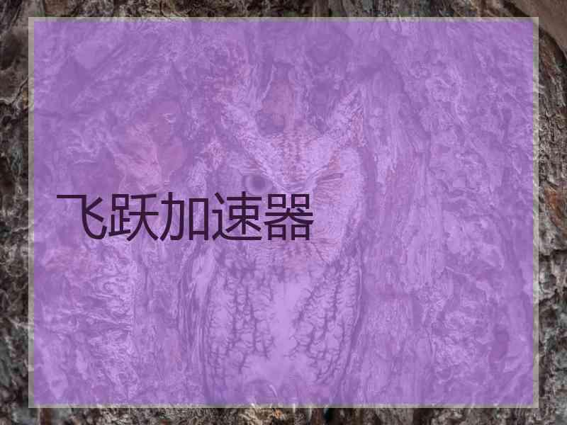 飞跃加速器