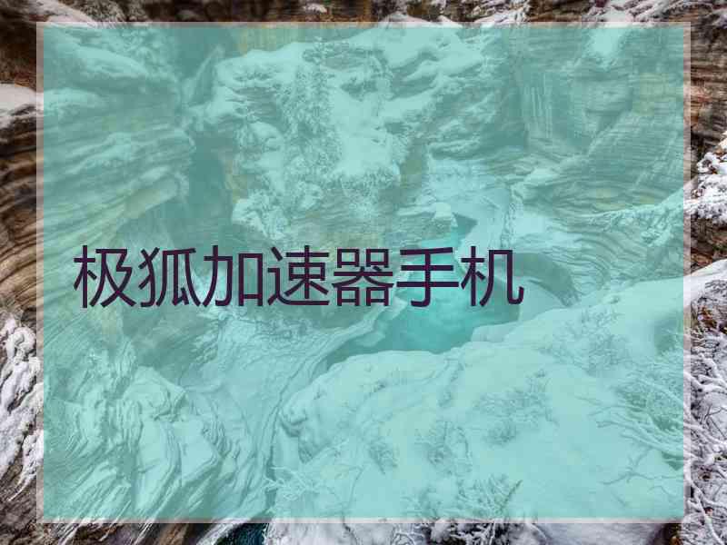 极狐加速器手机