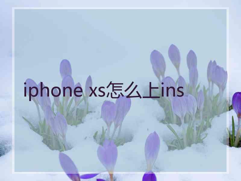 iphone xs怎么上ins