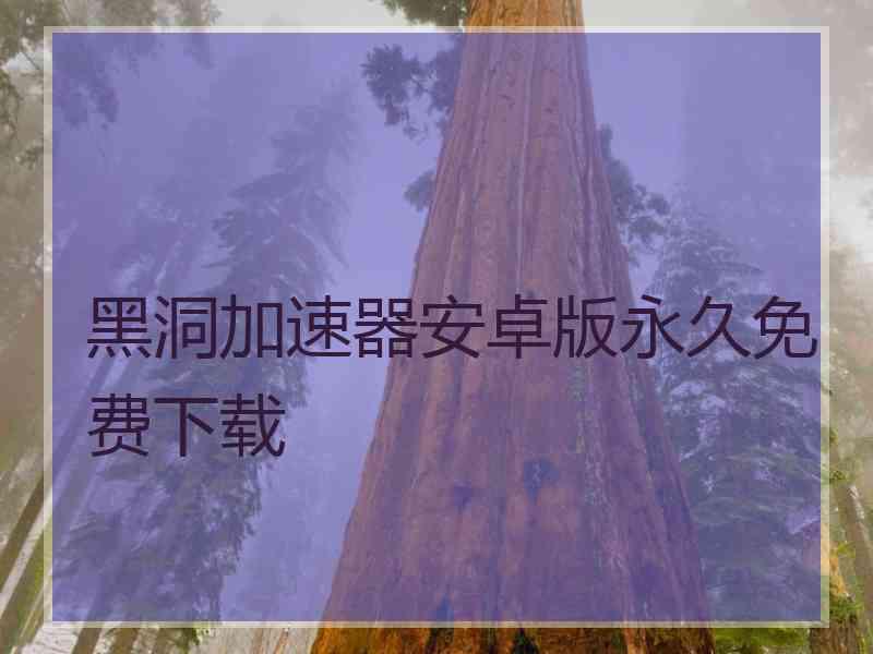 黑洞加速器安卓版永久免费下载