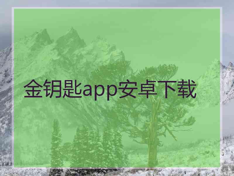 金钥匙app安卓下载