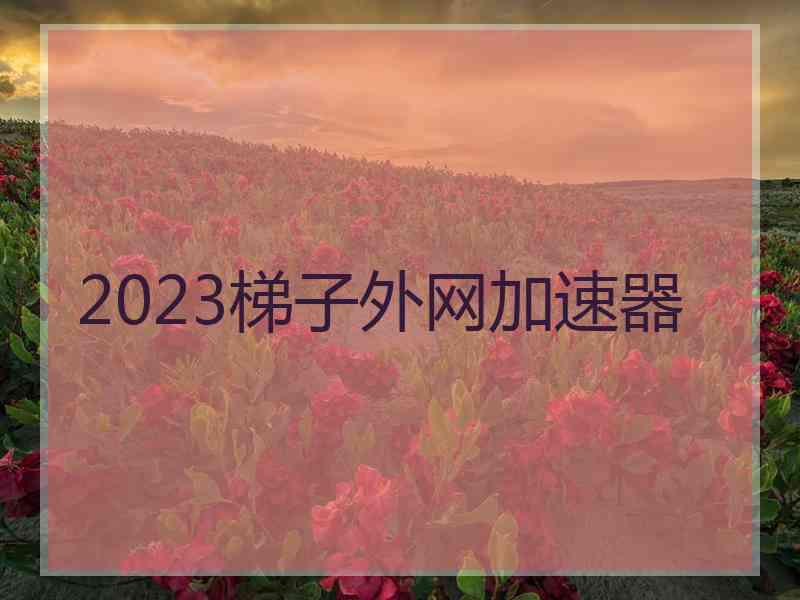 2023梯子外网加速器
