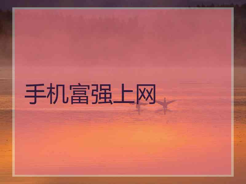 手机富强上网