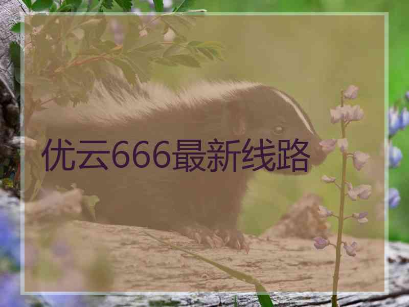 优云666最新线路