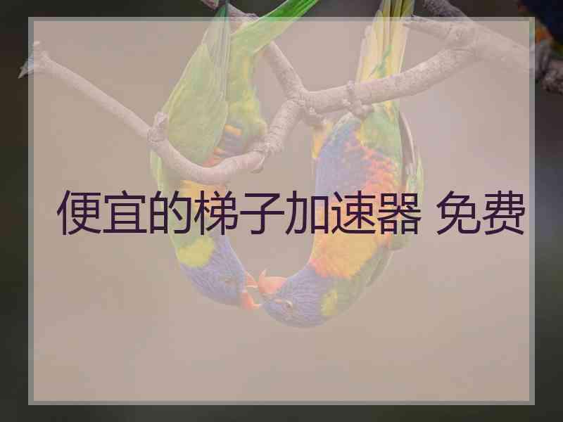 便宜的梯子加速器 免费