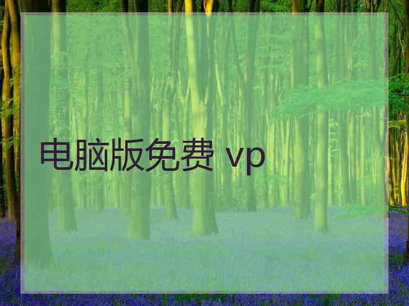 电脑版免费 vp