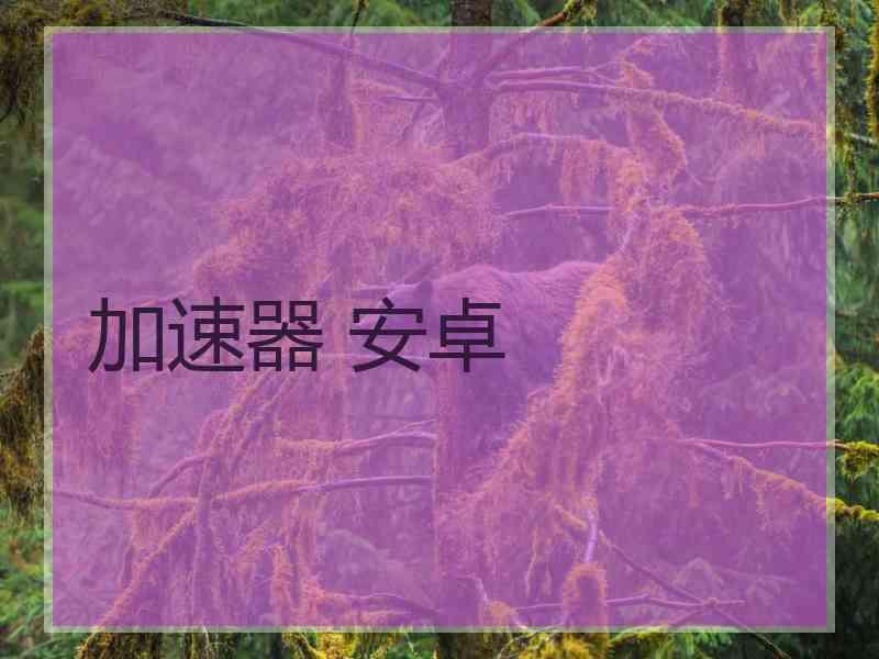 加速器 安卓