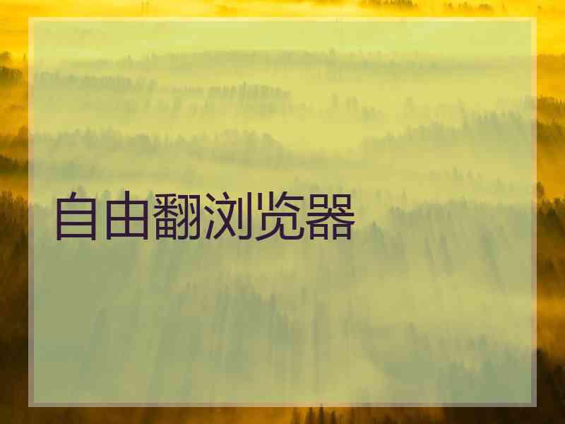 自由翻浏览器