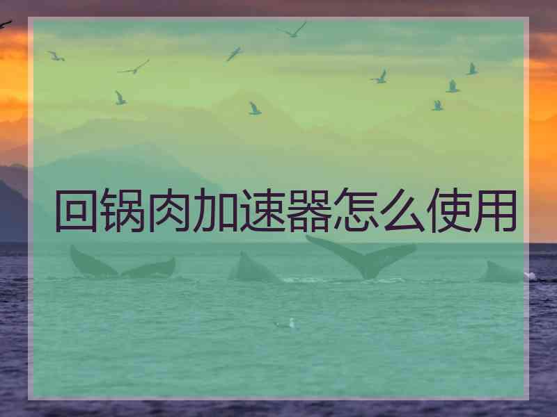 回锅肉加速器怎么使用