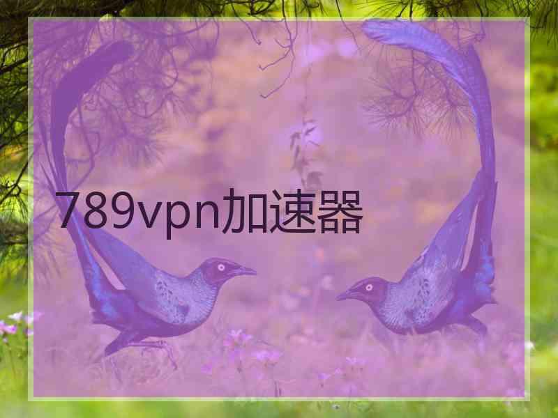 789vpn加速器