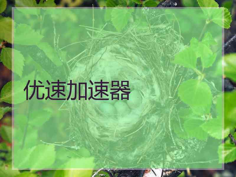 优速加速器