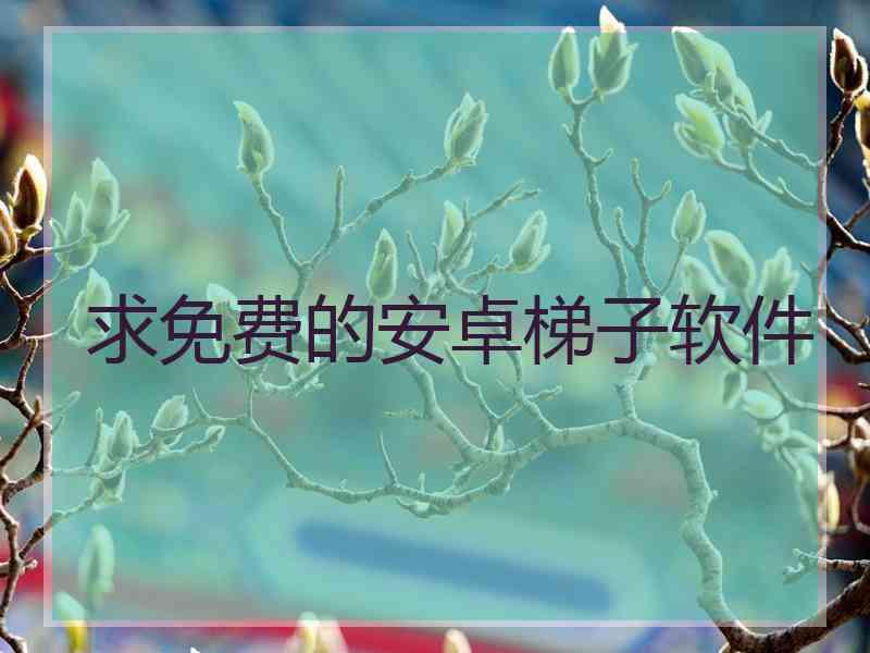 求免费的安卓梯子软件
