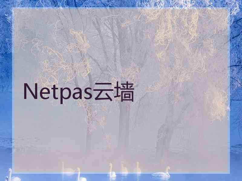 Netpas云墙