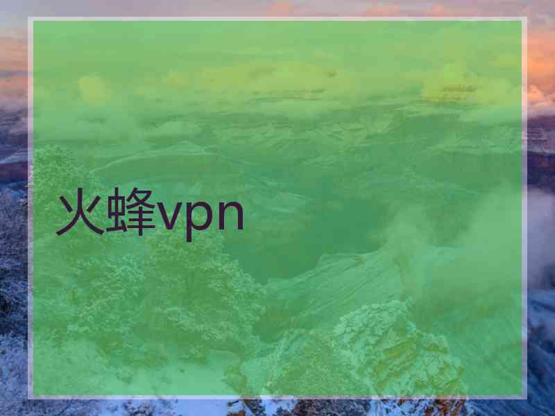 火蜂vpn