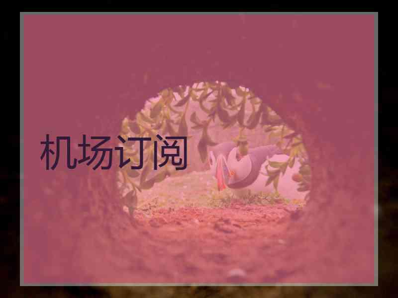 机场订阅