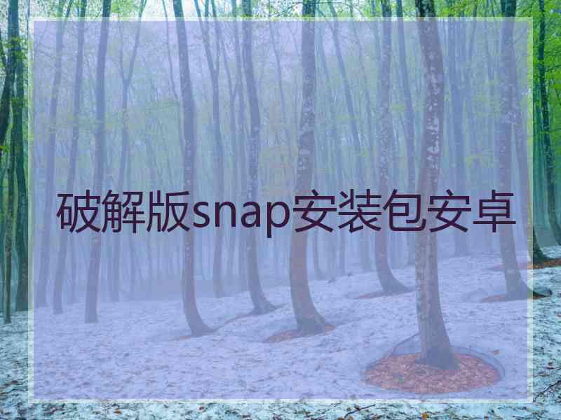 破解版snap安装包安卓